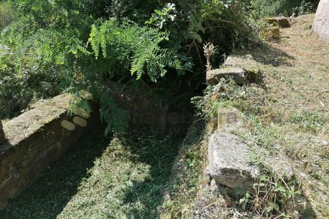 Farm i Penhalonga e Pacos de Gaiolo, Porto, Penhalonga e Pacos de Gaiolo - € 299.000 | Ref: MAS_7 - foto 27