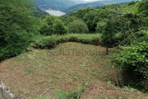 Farm i Penhalonga e Pacos de Gaiolo, Porto, Penhalonga e Pacos de Gaiolo - € 299.000 | Ref: MAS_7 - foto 26