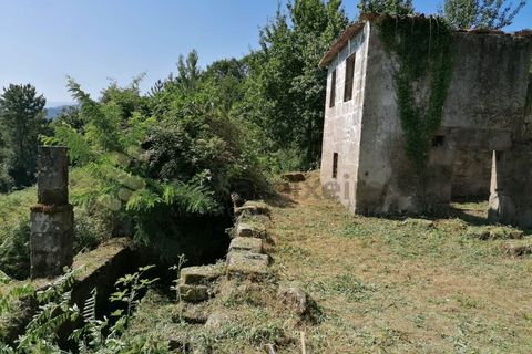 Farm i Penhalonga e Pacos de Gaiolo, Porto, Penhalonga e Pacos de Gaiolo - € 299.000 | Ref: MAS_7 - foto 24