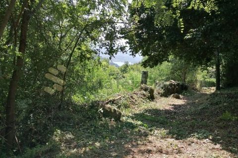 Farm i Penhalonga e Pacos de Gaiolo, Porto, Penhalonga e Pacos de Gaiolo - € 299.000 | Ref: MAS_7 - foto 30