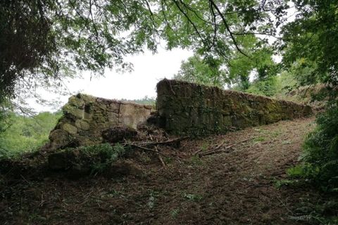 Farm i Penhalonga e Pacos de Gaiolo, Porto, Penhalonga e Pacos de Gaiolo - € 299.000 | Ref: MAS_7 - foto 31