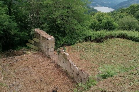 Farm i Penhalonga e Pacos de Gaiolo, Porto, Penhalonga e Pacos de Gaiolo - € 299.000 | Ref: MAS_7 - foto 32
