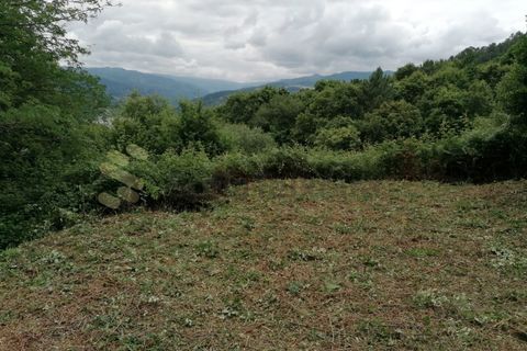 Farm i Penhalonga e Pacos de Gaiolo, Porto, Penhalonga e Pacos de Gaiolo - € 299.000 | Ref: MAS_7 - foto 33