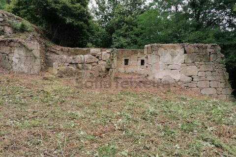Farm i Penhalonga e Pacos de Gaiolo, Porto, Penhalonga e Pacos de Gaiolo - € 299.000 | Ref: MAS_7 - foto 34