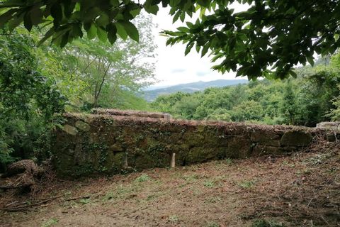 Farm i Penhalonga e Pacos de Gaiolo, Porto, Penhalonga e Pacos de Gaiolo - € 299.000 | Ref: MAS_7 - foto 36