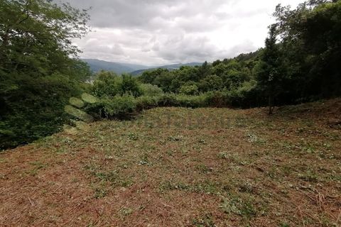 Farm i Penhalonga e Pacos de Gaiolo, Porto, Penhalonga e Pacos de Gaiolo - € 299.000 | Ref: MAS_7 - foto 37