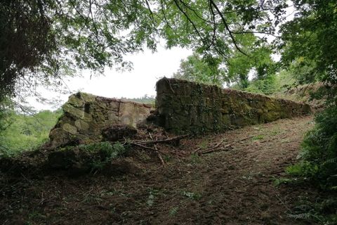 Farm i Penhalonga e Pacos de Gaiolo, Porto, Penhalonga e Pacos de Gaiolo - € 299.000 | Ref: MAS_7 - foto 38