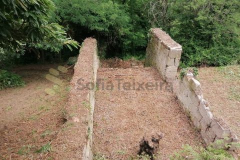 Farm i Penhalonga e Pacos de Gaiolo, Porto, Penhalonga e Pacos de Gaiolo - € 299.000 | Ref: MAS_7 - foto 40