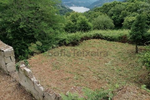 Farm i Penhalonga e Pacos de Gaiolo, Porto, Penhalonga e Pacos de Gaiolo - € 299.000 | Ref: MAS_7 - foto 42
