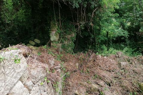 Farm i Penhalonga e Pacos de Gaiolo, Porto, Penhalonga e Pacos de Gaiolo - € 299.000 | Ref: MAS_7 - foto 43