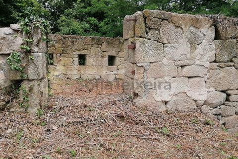 Farm i Penhalonga e Pacos de Gaiolo, Porto, Penhalonga e Pacos de Gaiolo - € 299.000 | Ref: MAS_7 - foto 44