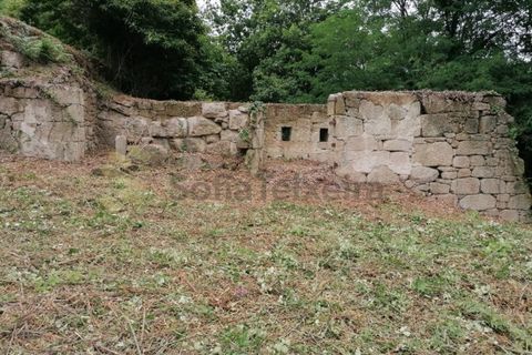 Farm i Penhalonga e Pacos de Gaiolo, Porto, Penhalonga e Pacos de Gaiolo - € 299.000 | Ref: MAS_7 - foto 45