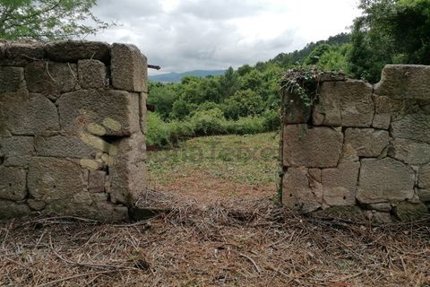 Farm i Penhalonga e Pacos de Gaiolo, Porto, Penhalonga e Pacos de Gaiolo - € 299.000 | Ref: MAS_7 - foto 46