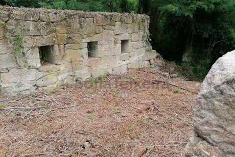 Farm i Penhalonga e Pacos de Gaiolo, Porto, Penhalonga e Pacos de Gaiolo - € 299.000 | Ref: MAS_7 - foto 47