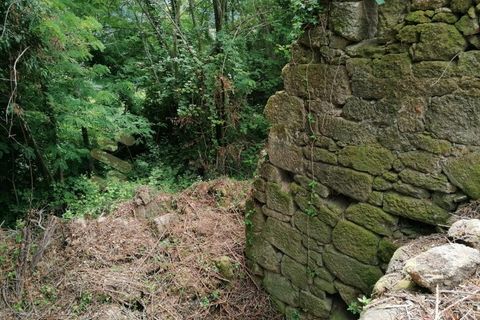 Farm i Penhalonga e Pacos de Gaiolo, Porto, Penhalonga e Pacos de Gaiolo - € 299.000 | Ref: MAS_7 - foto 48