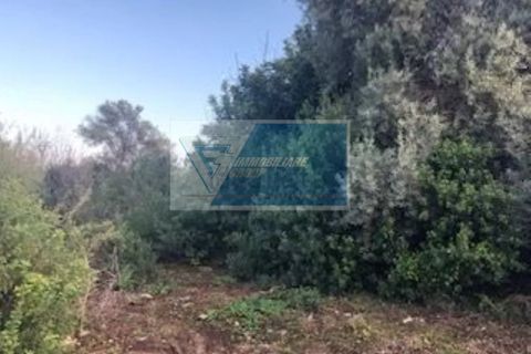 Helårsgrund i Melilli, Siracusa, Melilli - € 90.000 | Ref: RIF. BEL TCIT 17 - foto 5