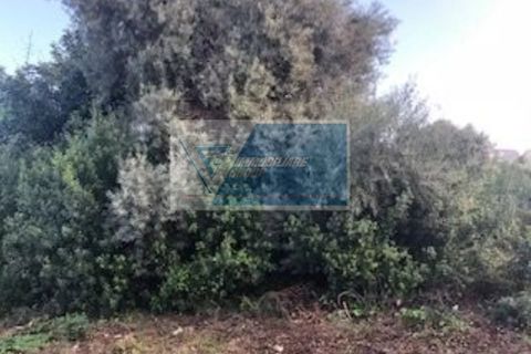 Helårsgrund i Melilli, Siracusa, Melilli - € 90.000 | Ref: RIF. BEL TCIT 17 - foto 7