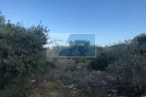 Helårsgrund i Melilli, Siracusa, Melilli - € 90.000 | Ref: RIF. BEL TCIT 17 - foto 8