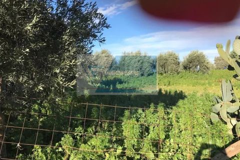 Helårsgrund i Melilli, Siracusa, Melilli - € 300.000 | Ref: RIF. BEL TCIT 07 - foto 5
