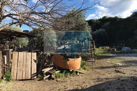 Helårsgrund i Melilli, Siracusa, Melilli - € 300.000 | Ref: RIF. BEL TCIT 07 - foto 12
