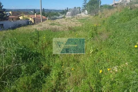 Helårsgrund i Noto, Siracusa, Noto - € 25.000 | Ref: NT TCAM 03 - foto 8