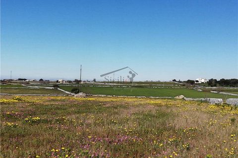 Helårsgrund i Ragusa, Ragusa, Ragusa - € 50.000 | Ref: 48 - foto 2