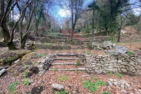 Villa a Padroso, Viana do Castelo, Padroso - € 59.500 | Ref: AVV-2004-CR-0322 - foto 5