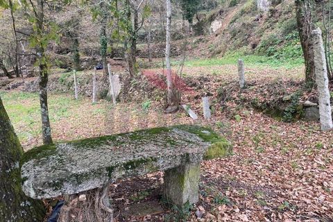 Villa a Padroso, Viana do Castelo, Padroso - € 59.500 | Ref: AVV-2004-CR-0322 - foto 6