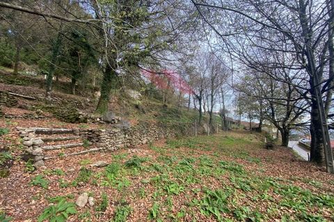 Villa a Padroso, Viana do Castelo, Padroso - € 59.500 | Ref: AVV-2004-CR-0322 - foto 11