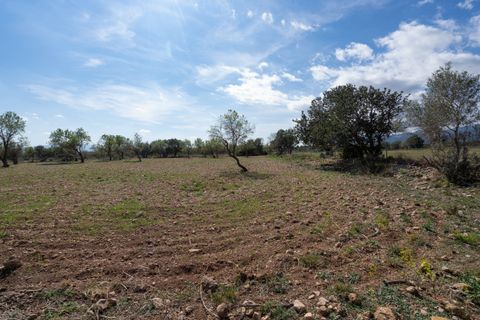 Finca i Roquetes, Tarragona, Roquetes - € 9.000 | Ref: 661 - foto 3