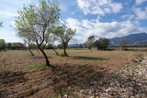 Finca i Roquetes, Tarragona, Roquetes - € 9.000 | Ref: 661 - foto 2