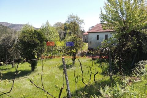 Helårsgrund i Cabeceiras de Basto, Braga, Cabeceiras de Basto - € 60.000 | Ref: dm1003 - foto 2