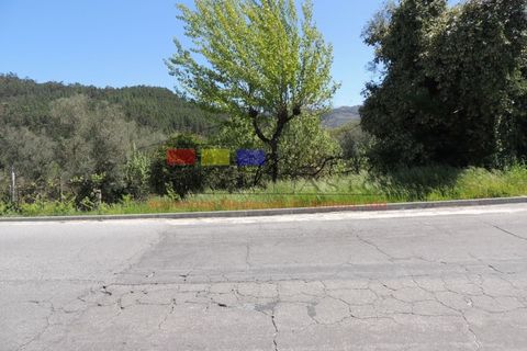 Helårsgrund i Cabeceiras de Basto, Braga, Cabeceiras de Basto - € 60.000 | Ref: dm1003 - foto 5