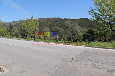 Helårsgrund i Cabeceiras de Basto, Braga, Cabeceiras de Basto - € 60.000 | Ref: dm1003 - foto 7