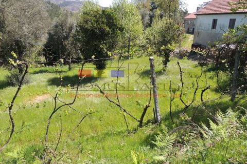 Helårsgrund i Cabeceiras de Basto, Braga, Cabeceiras de Basto - € 60.000 | Ref: dm1003 - foto 9