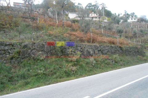 Villa i Cavez, Braga, Cavez - € 115.000 | Ref: dm920 - foto 4