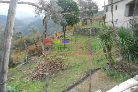 Villa i Cavez, Braga, Cavez - € 115.000 | Ref: dm920 - foto 8