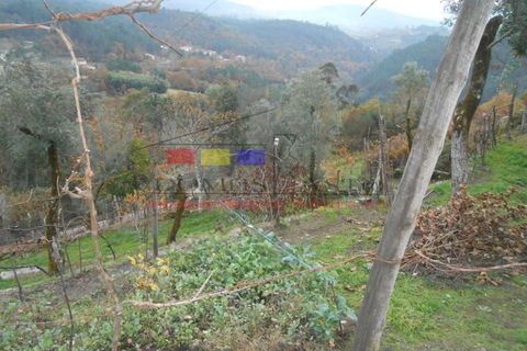 Villa i Cavez, Braga, Cavez - € 115.000 | Ref: dm920 - foto 9