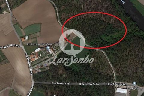 Tomt i Vila do Conde, Porto, Vila do Conde - € 88 000 | Ref: 240-T-23328 - foto 2
