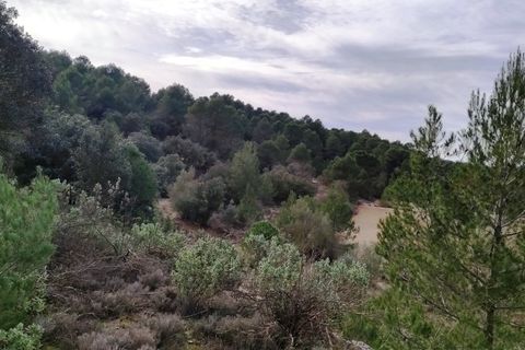 Finca i Bocairent, Valencia, Bocairent - € 950.000 | Ref: 2838 - foto 1