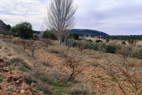 Finca i Bocairent, Valencia, Bocairent - € 950.000 | Ref: 2838 - foto 30