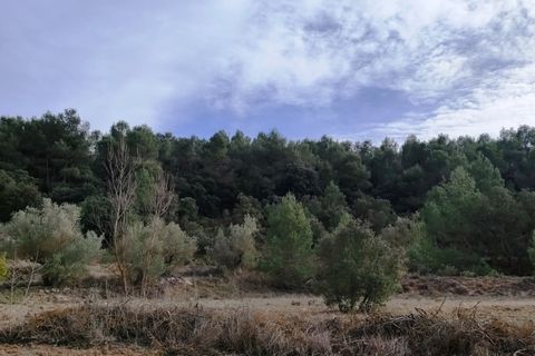 Finca i Bocairent, Valencia, Bocairent - € 950.000 | Ref: 2838 - foto 31