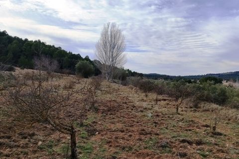 Finca i Bocairent, Valencia, Bocairent - € 950.000 | Ref: 2838 - foto 32