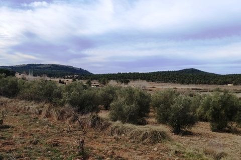 Finca i Bocairent, Valencia, Bocairent - € 950.000 | Ref: 2838 - foto 33