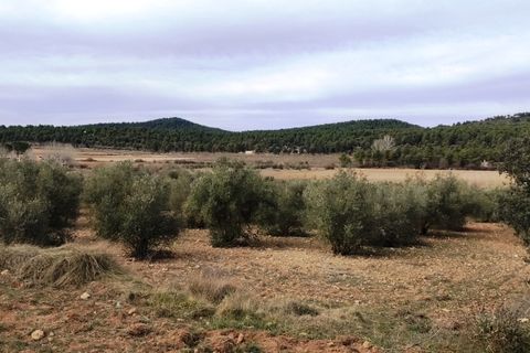 Finca i Bocairent, Valencia, Bocairent - € 950.000 | Ref: 2838 - foto 34