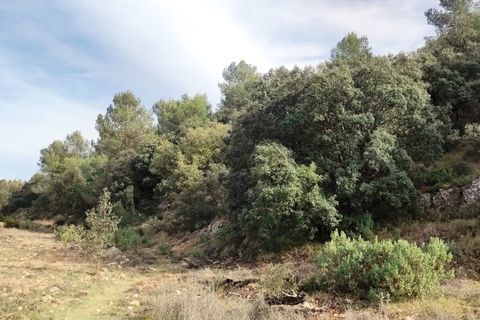 Finca i Bocairent, Valencia, Bocairent - € 950.000 | Ref: 2838 - foto 35