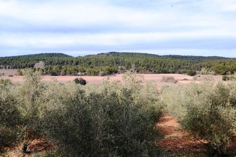 Finca i Bocairent, Valencia, Bocairent - € 950.000 | Ref: 2838 - foto 36