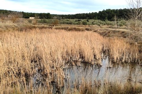 Finca i Bocairent, Valencia, Bocairent - € 950.000 | Ref: 2838 - foto 37