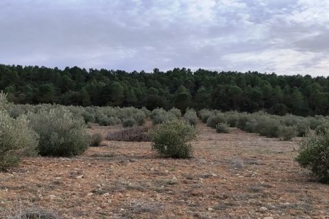 Finca i Bocairent, Valencia, Bocairent - € 950.000 | Ref: 2838 - foto 38
