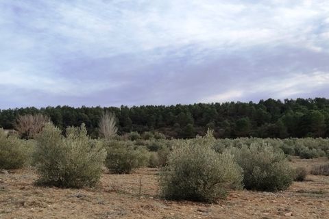 Finca i Bocairent, Valencia, Bocairent - € 950.000 | Ref: 2838 - foto 39